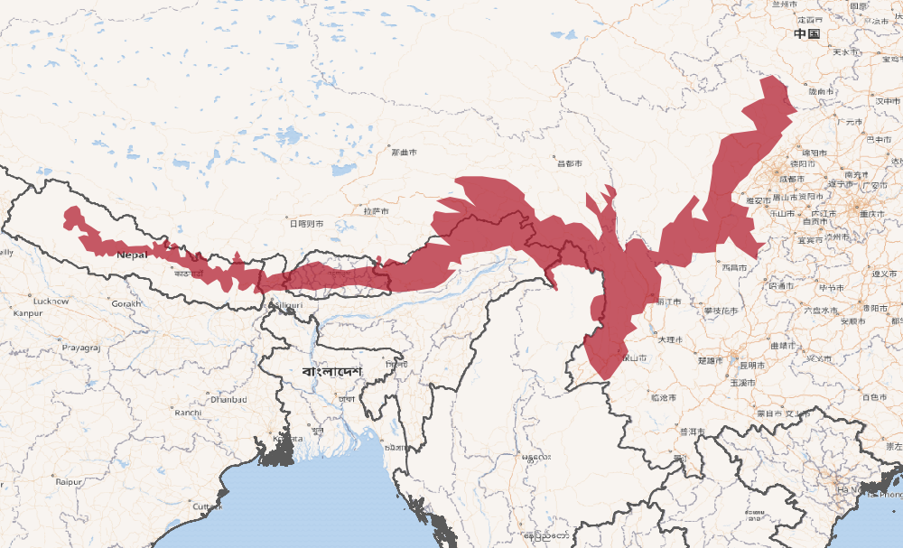Map of where red pandas live